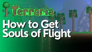 How to Get Souls of Flight in Terraria