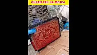 Quran Pak Ka Mojza Miracle of Quran #explore