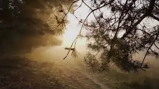 Morning Sunrise Nature Drone Free HD Videos