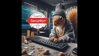 Organized Crime Squirrel attempts the CompTIA SY0-701 Practice Exam