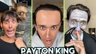 Get Ready for the Most HILARIOUS PAYTON KING TikTok Moments of 2024!