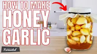 Making Garlic Honey | The Fermentation Show