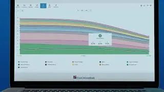 See the Big Picture with Manage My Money™