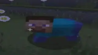 Top 5 Minecraft