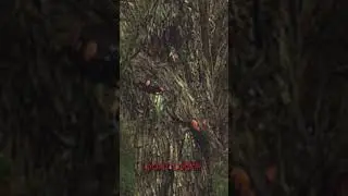 Sniper.Dont look
