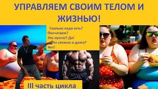 Количество еды переходит в наше качество! Как посчитать сколько мы едим? Просто!
