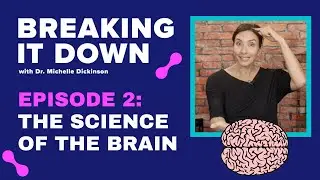 The Science Of The Brain - Episode 2 Breaking It Down