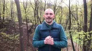 Стоит ли чистить свой Род?