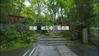 京都　祇王寺　苔庭園