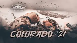 100k+ BIRD LOAF - Colorado '21