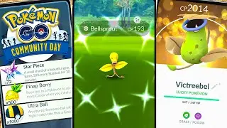 Prep Now! Bellsprout Comm Day: 3x Stardust & Victreebel’s Magical Leaf!