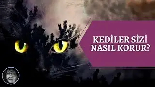 KEDİLER SİZİ NASIL KORUR? | HOW DO CATS PROTECT YOU?