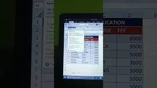 Format Painter Tips tricks in MS Excel 