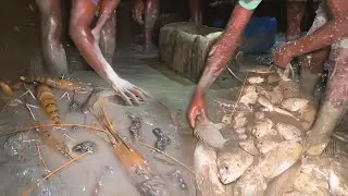 মাছের আনন্দে আনন্দিত সুন্দরবনের জেলেরা | Fish Catching BD | Adventure BD