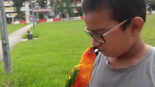 WOW.....Beautiful parrot kissing kids