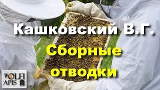 #Kashkovsky