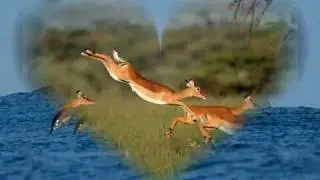 Abraham-Hicks ~ Don't You Waste One Moment of Your Joy Worried About Me