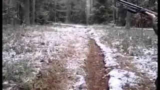 ПРИКОЛ ! ОХОТА неудачника