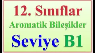 12.SINIFLAR AROMATİK BİLEŞİKLER SEVİYE B1