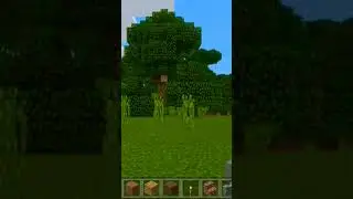 #minecraft