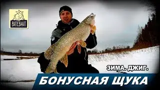 БОЛЬШАЯ ЩУКА маленькой реки. Зимний спиннинг. Ловля щуки на джиг зимой