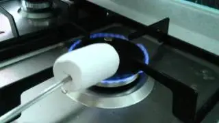 양띵님이 드신 마시멜로