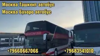 МОСКВА ТАШКЕНТ ТАКСИ