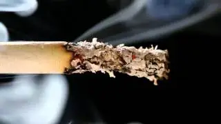Burning Cigarette