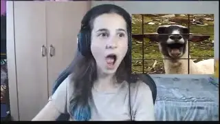 Femeile nu ar trebui sa voteze! TWITCH ROMANIA#15