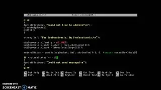 Basic example of an UDP client socket