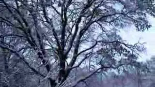 Walking In A Winter Wonderland