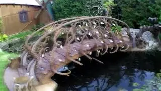 Ланшафтный дизайн с прудом