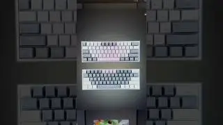 ❗️Fizz или Fizz K617 🙀