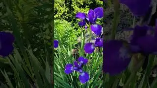 Всем Доброго утра и Хорошего дня