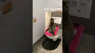 11 июня 2024 г.