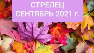 СТРЕЛЕЦ. СЕНТЯБРЬ 2021 г.