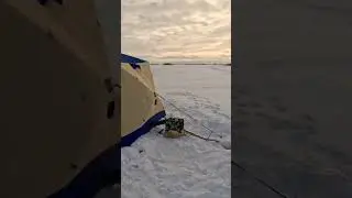 Четверг- рыбный день!