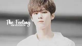 kim wooseok ; the feeling [fmv]