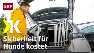 Dog crates tested: Only one model offers optimal safety for dogs | 2025 | Kassensturz | SRF