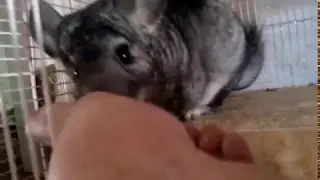 VID 20170506 180054