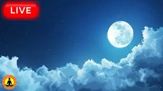 🔴 Relaxing Sleep Music 24/7, Calming Music, Sleep Music, Meditation Music, Yoga, Study Music, Sleep