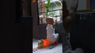 #baby #car #driving