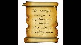 Цитата дня 🙂
