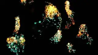Cinema4D Animation using Xparticles