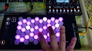 Trying my new MicroMonsta 2 synth + Exquis MPE controller