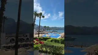 Для поднятия настроения! | Море, солнце, лето 