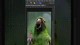 Easily remove photoshop 