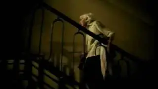 Leroy Merlin  --  Abuela.mov