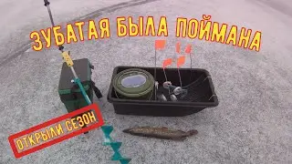 первый лёд 2020-21 и первая щука. зимняя рыбалка.