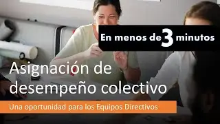 Asignación desempeño Colectivo
